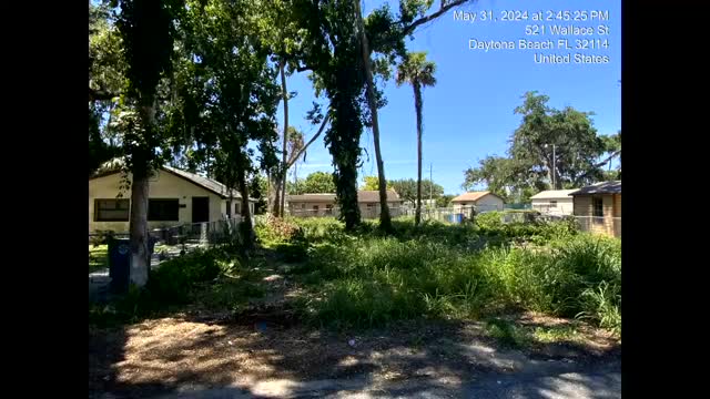 City cracks down on overgrown lots with fines looming