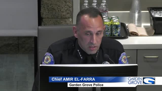 Police launch aggressive crackdown on local crime hotspots