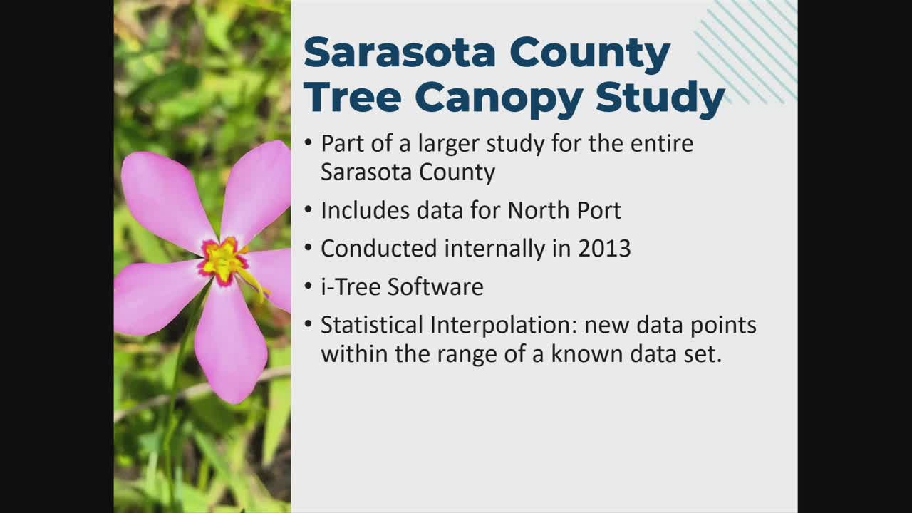 Data reveals alarming tree canopy decline in Northport