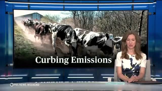 Denmark launches groundbreaking tax to combat methane emissions