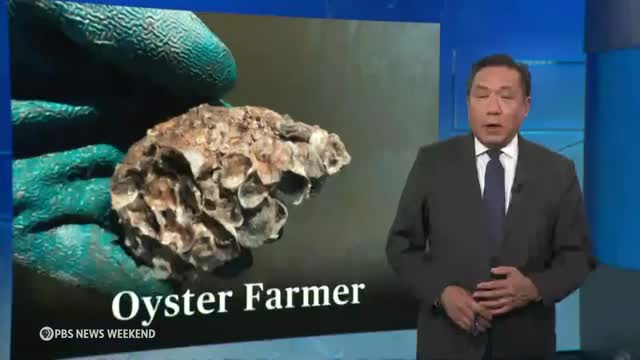 Teen Activist Revives Mississippi Oysters for Future Generations