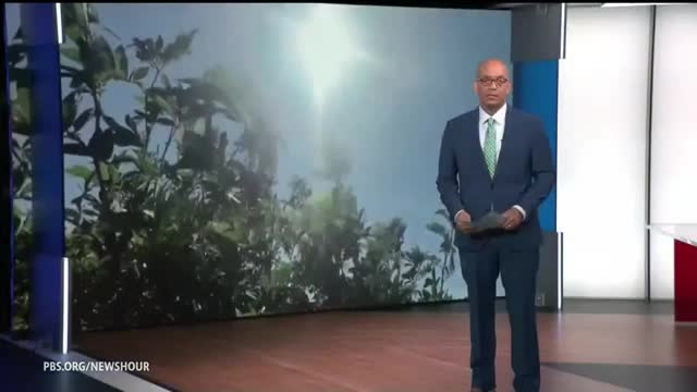 Innovative Earthship Homes Thrive Amidst Climate Crisis