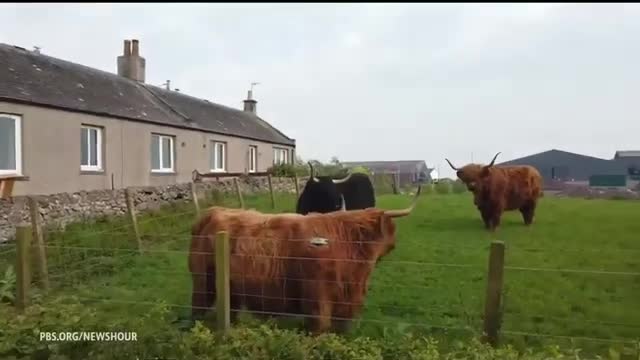 Book lovers rejoice with summer reading recommendations