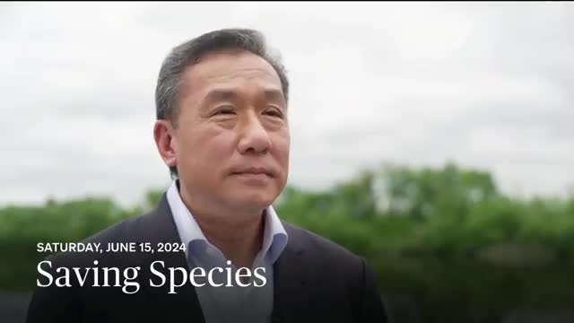 Global leaders unite for Ukraine at pivotal peace summit