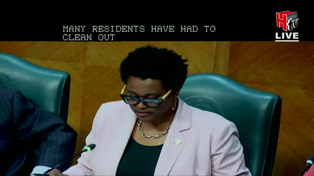 Houston leaders call for urgent action on disaster recovery