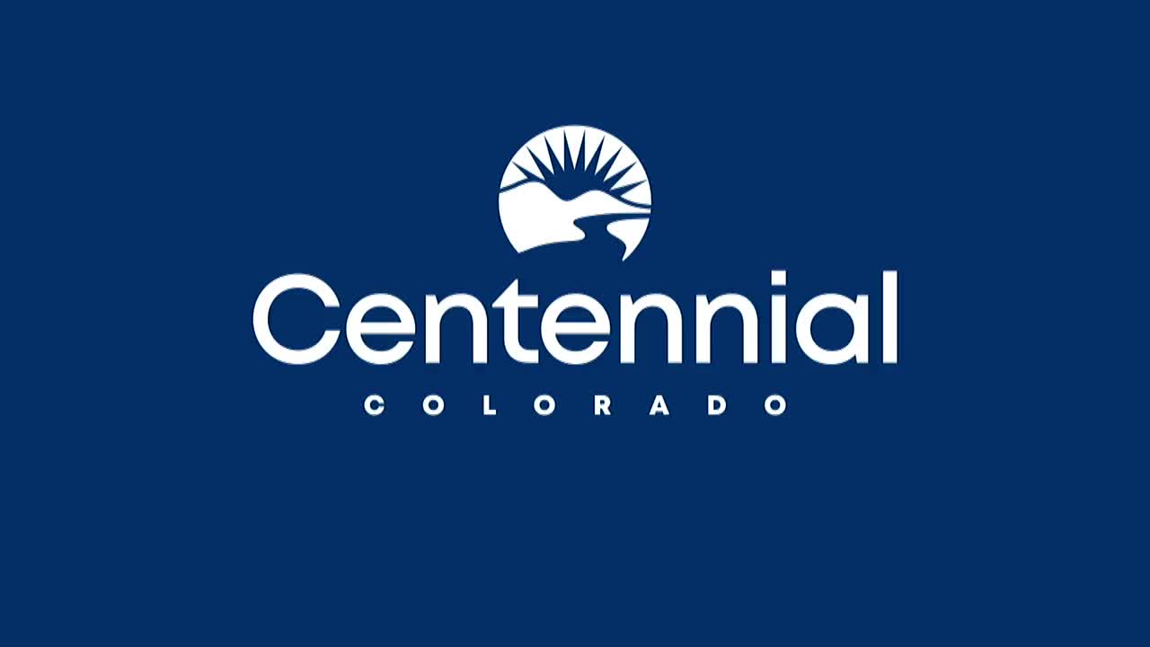 City Council Approves Key Ordinance Amid Commissioner Farewell