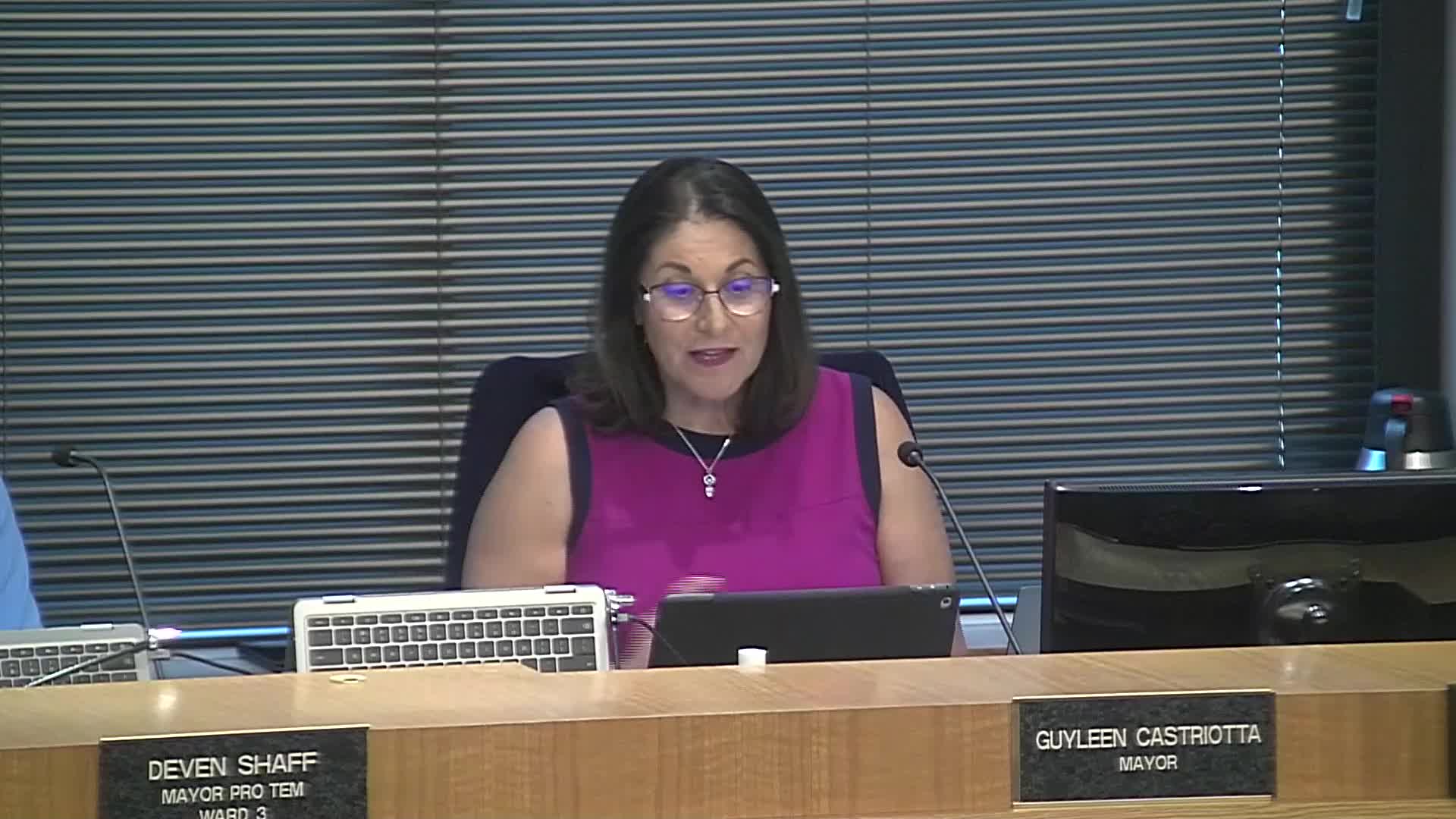 City Council Launches New Era for Public Art Programs