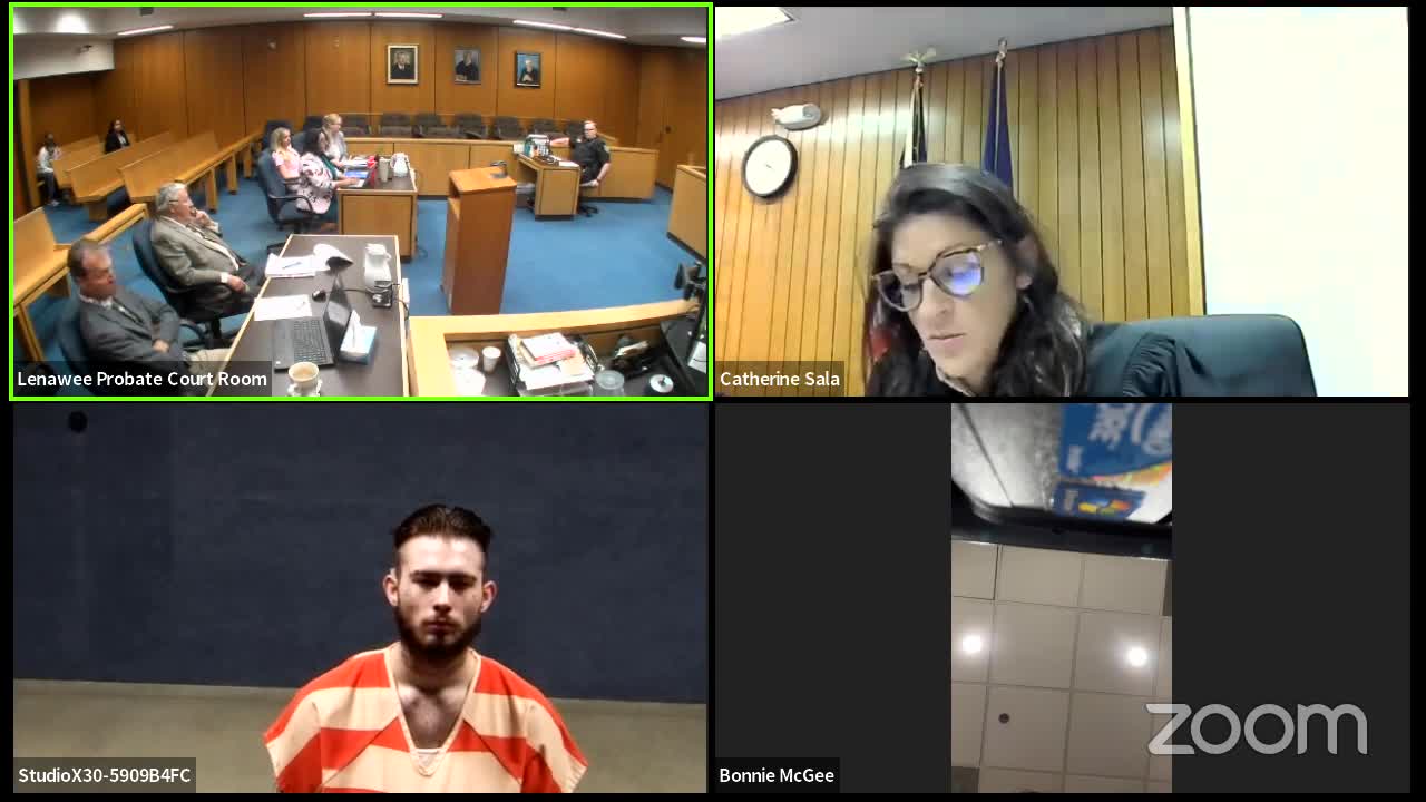 Court rules on adoption for children amid parental struggles