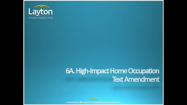 City Council Debates Controversial Home Business Regulations