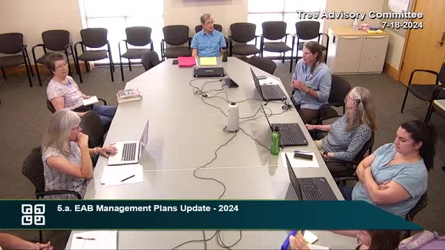 City battles emerald ash borer crisis with aggressive tree removal