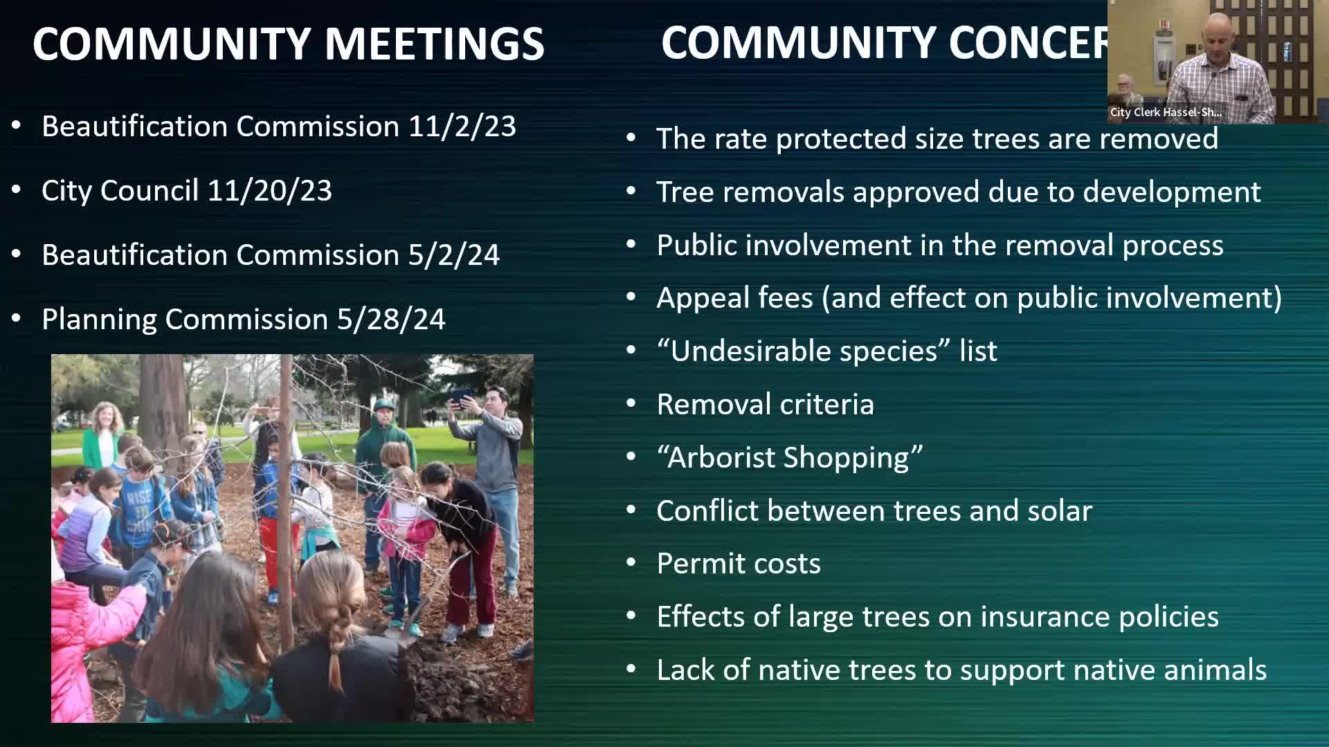 City grapples with tree removal amid development concerns