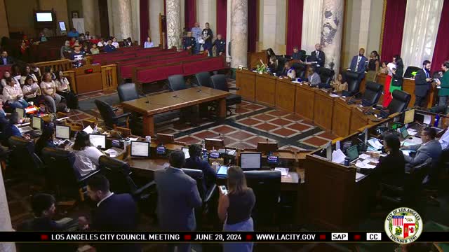 Council debates security cameras amid rising crime concerns