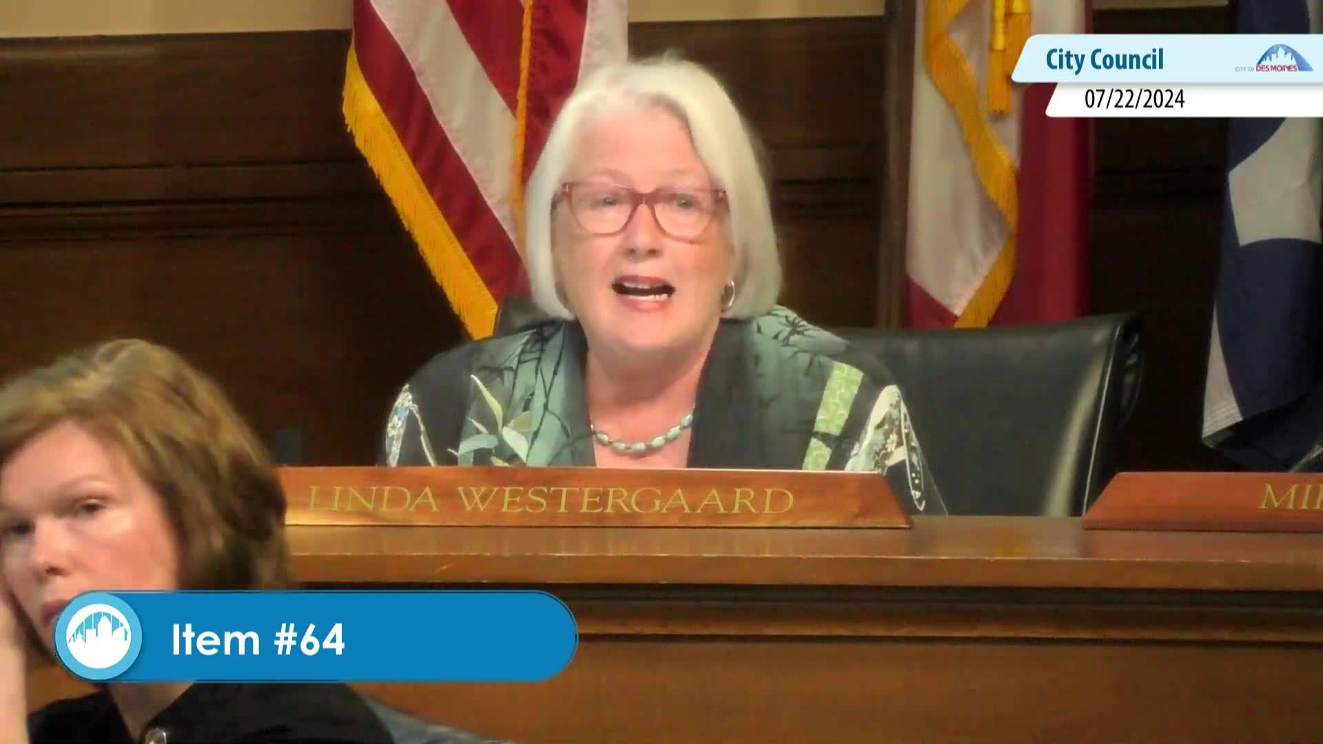 Council debates controversial housing proposal amid community concerns