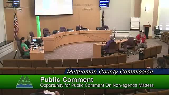 Light rail bridge project promises eco-friendly transit solution