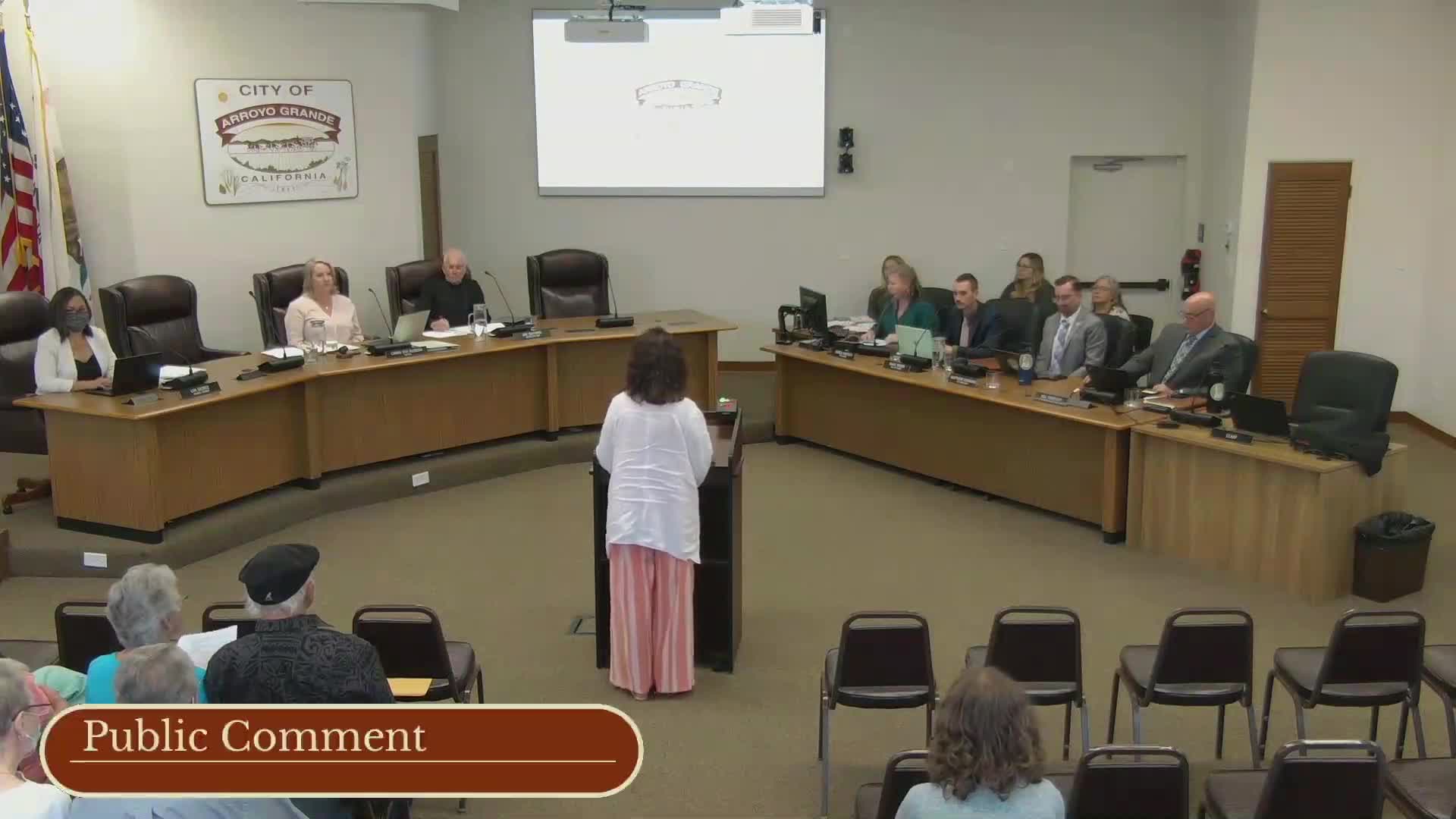 States and companies reject divisive DEI initiatives