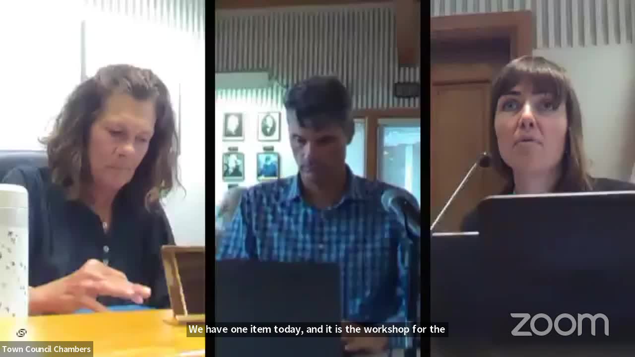 Council tackles urgent moratorium on large building developments