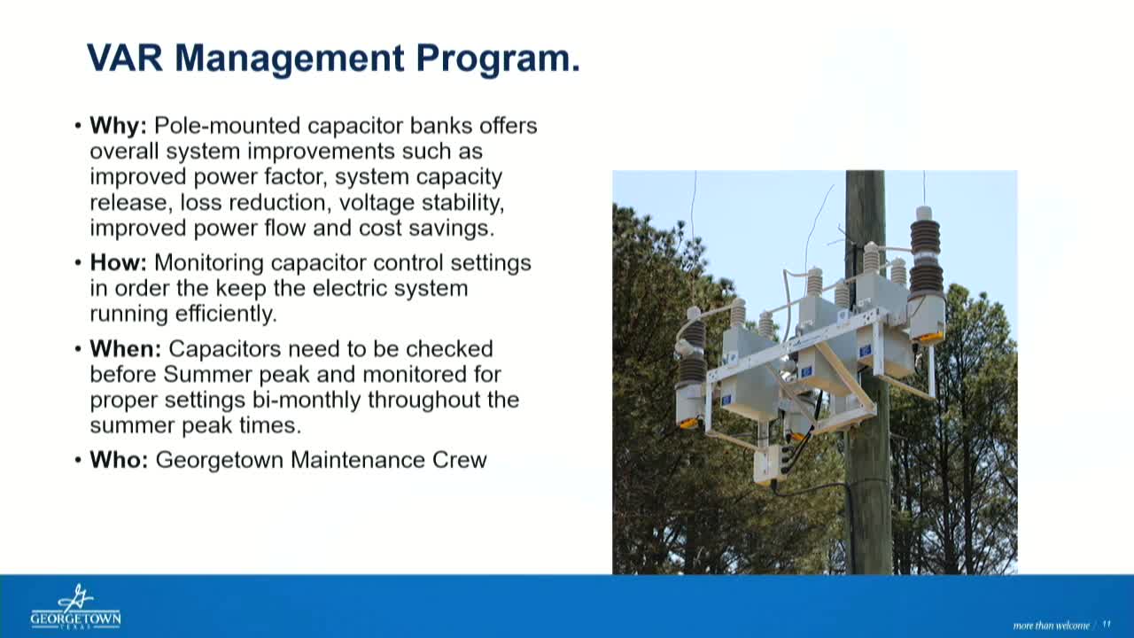 Electricity Reliability at Stake as Tree Trimming Sparks Controversy