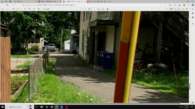 City Council Approves Controversial Tree Removal Assessment