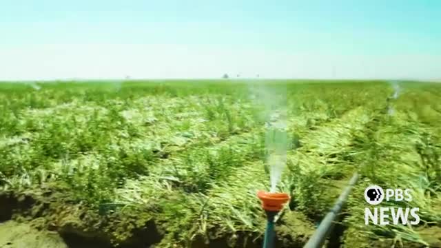 Water crisis negotiations reveal forbidden topics of discussion