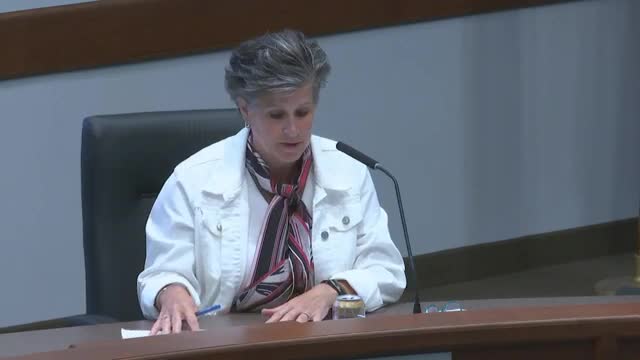 City planning commission debates controversial private road proposal