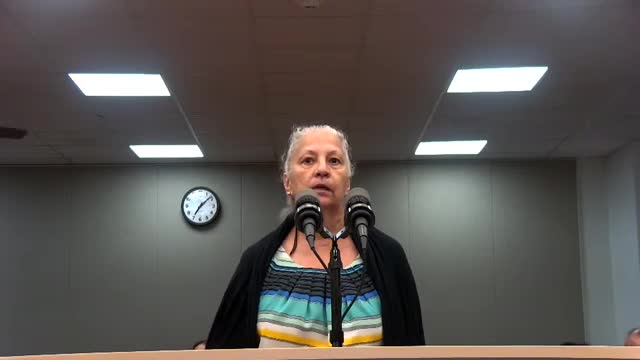 Residents demand action on traffic chaos and flooding concerns