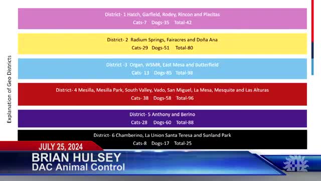 Animal control report reveals shocking stray statistics by district