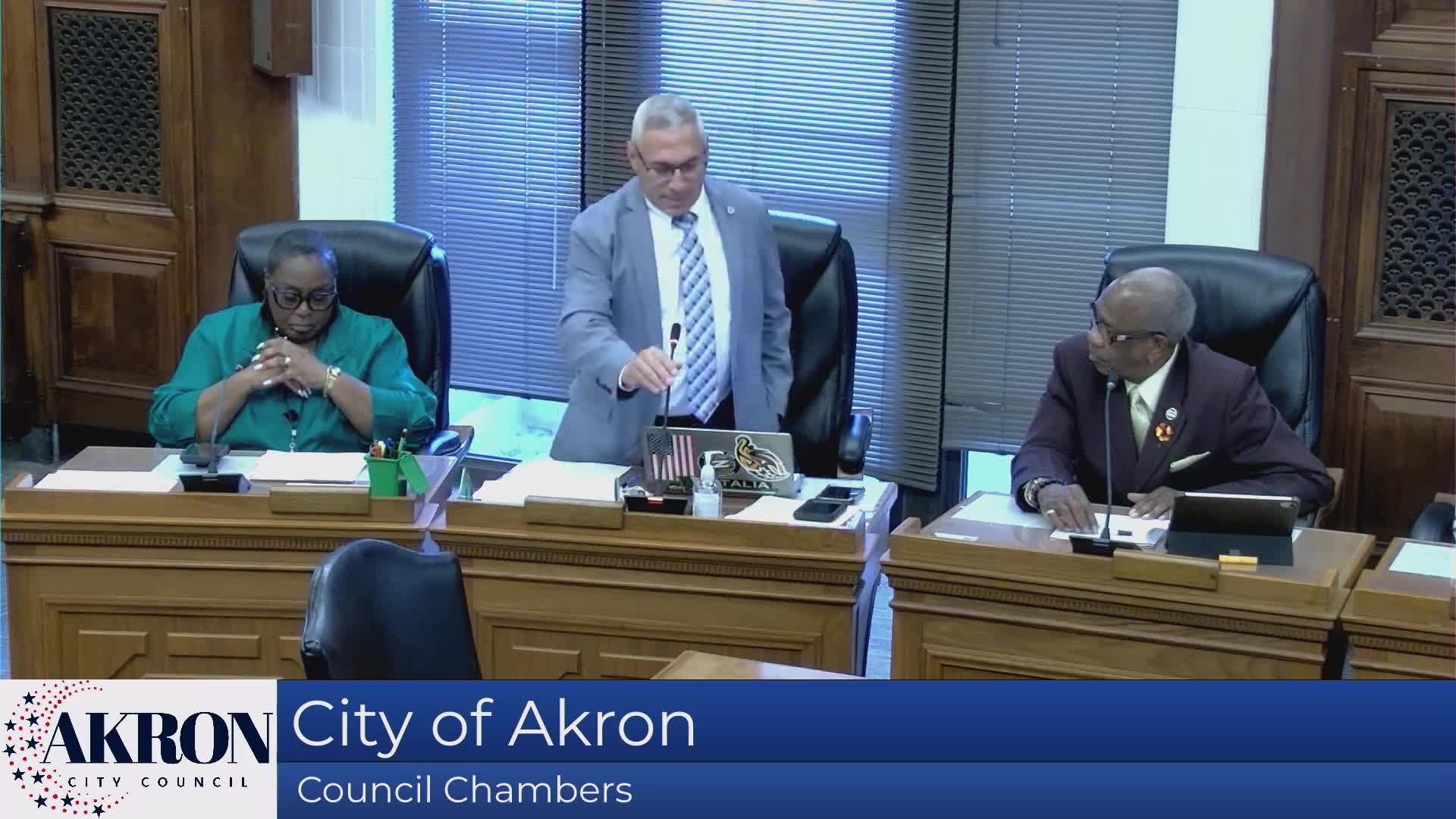 Council debates urgent need for diversity in police leadership