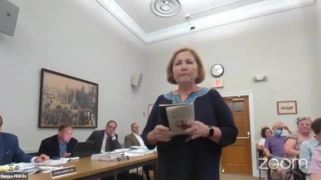 Residents Rally Against Controversial Burnsville Development Plan