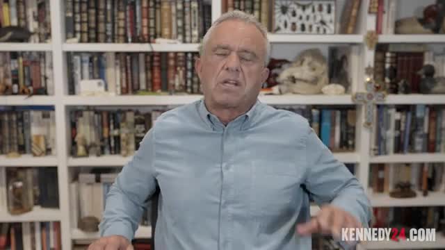 Wi Fi radiation poses hidden health risks experts warn