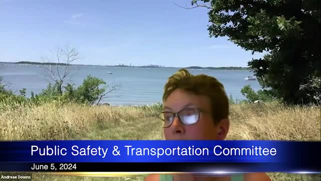 City Council Debates Overnight Parking Solutions Amid Controversy