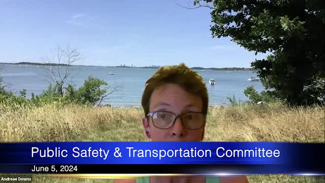 City Council Explores Solutions for Overnight Parking Crisis