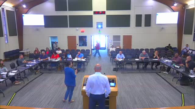 Council debates urgent traffic issues amid development concerns