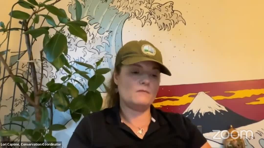 Invasive Japanese Knotweed Threatens Bruce Freeman Rail Trail