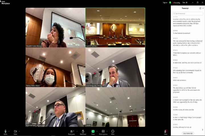 City Council Faces Controversy Over Mega Casino Project