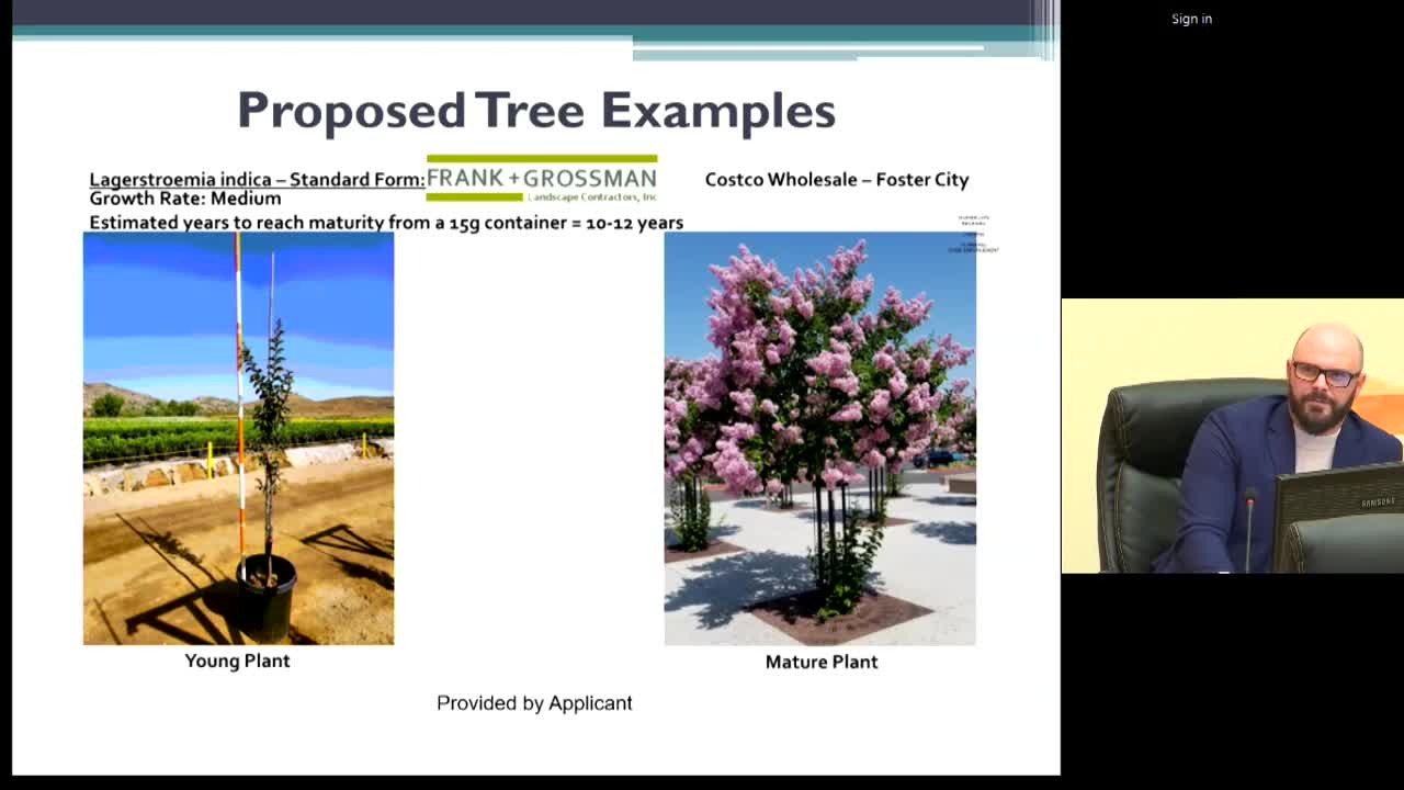Costco parking lot tree removal sparks community concerns