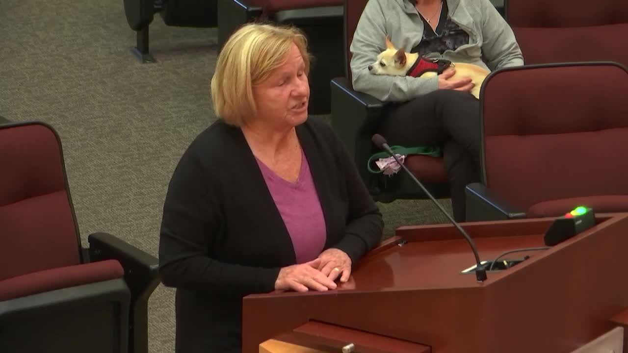 Elderly woman targeted in brazen theft at local store