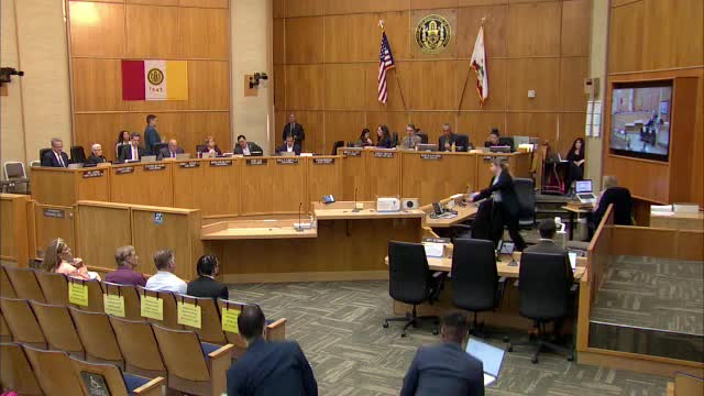 City Council Moves to Overrule Airport Land Use Commission