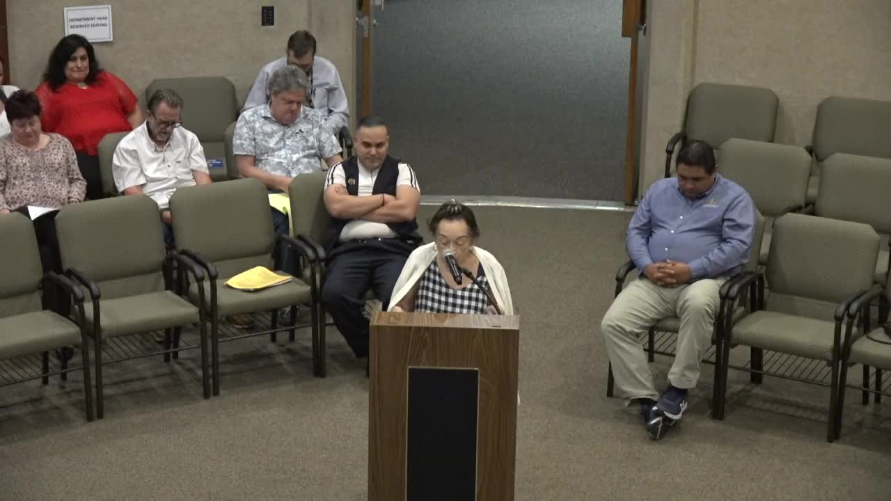 City Council Faces Backlash Over Logo Controversy