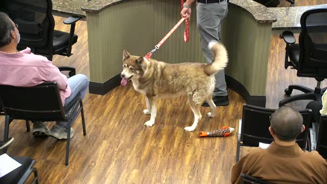 Community raises $82000 for new adoption trailer