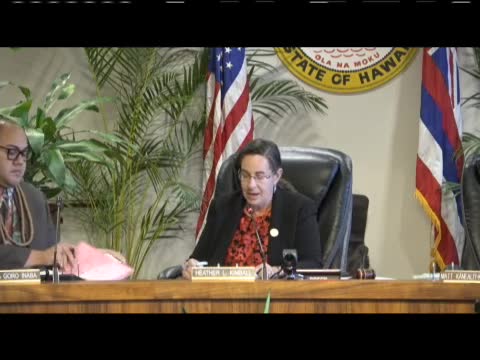 Council meeting kicks off with passionate public testimony