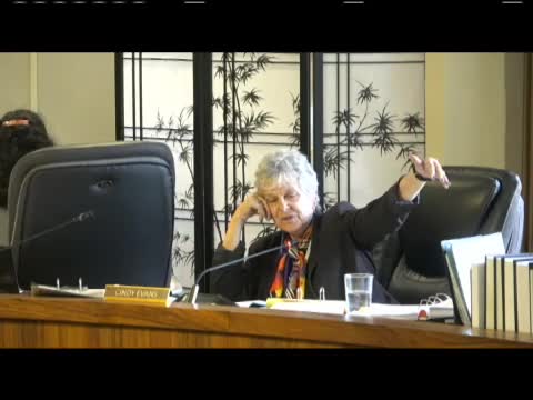 Council debates decades-long project amid zoning confusion