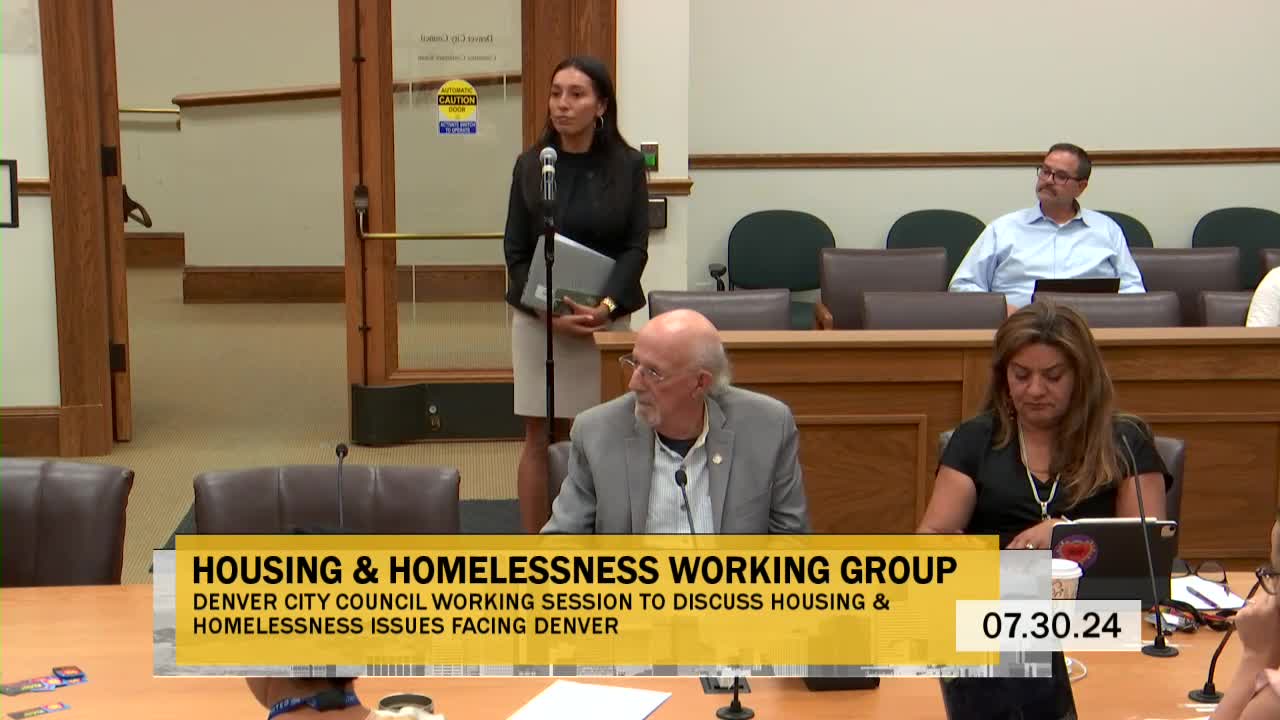 Council debates $100 million housing plan amid concerns