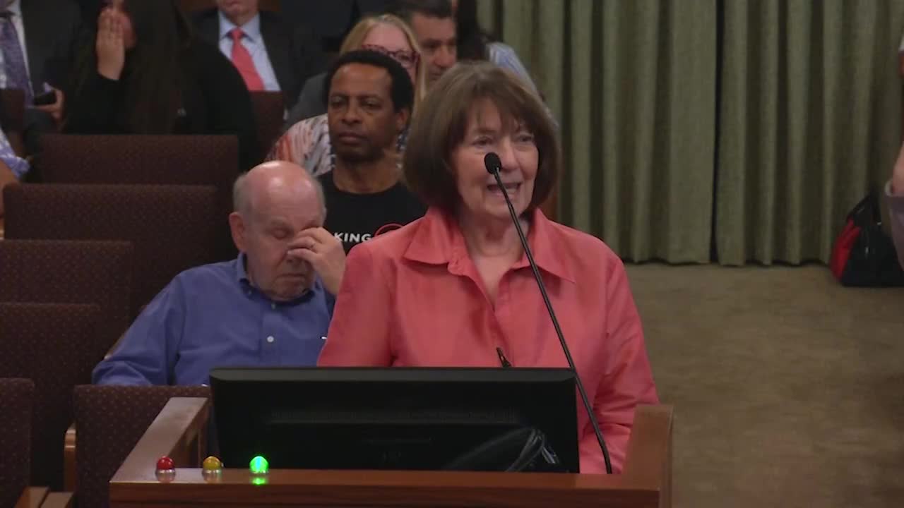 City Council Faces Crucial Decision on Library Bond Measure