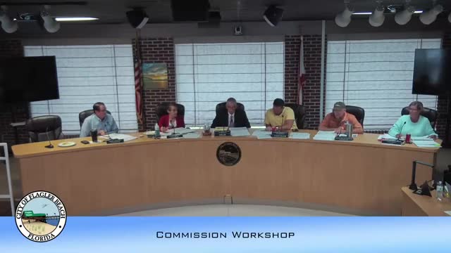 Budget Proposal Sparks Debate Over Costly Taser Purchase