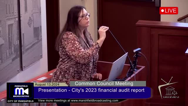 City Audit Reveals Strong Financial Health Amid Challenges