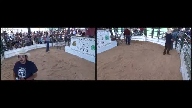 Bidding frenzy at livestock auction reaches new heights