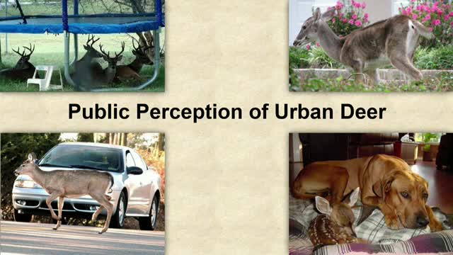 Community unites to tackle deer population crisis