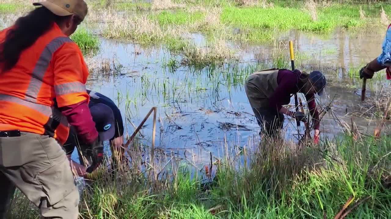 Tribe fights for water quality standards to protect traditions