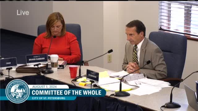 City Council Proposes Bold Budget Changes for Arts and Safety