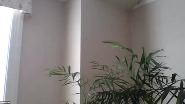 Birmingham event draws record crowds and boosts local sales